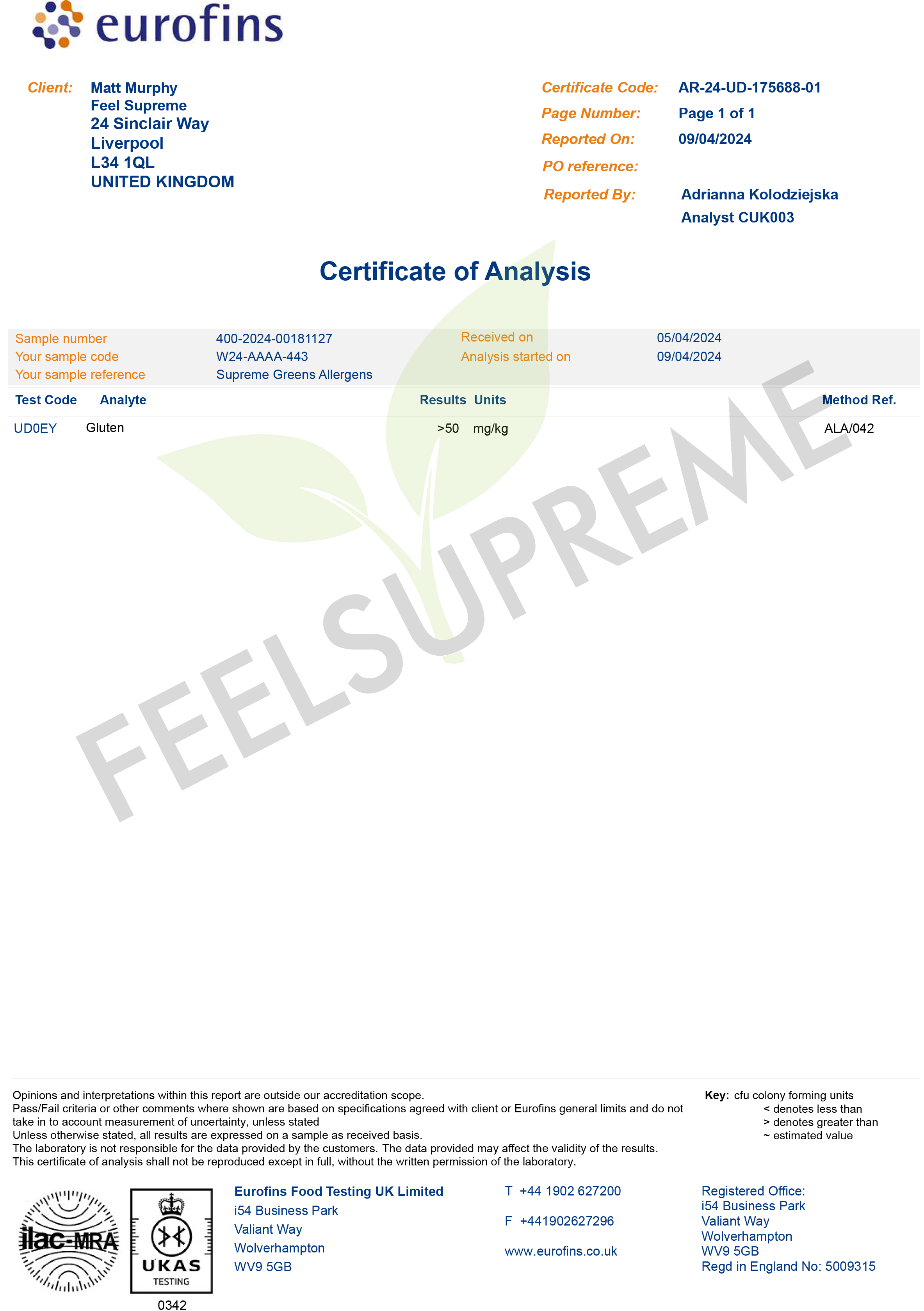 Feel Supreme Greens and Mushroom Blend